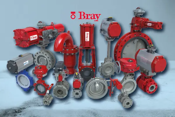 002_BRAY_Distribuidor_autorizadoen_Colombia_de_la_marca_Bray_Controls