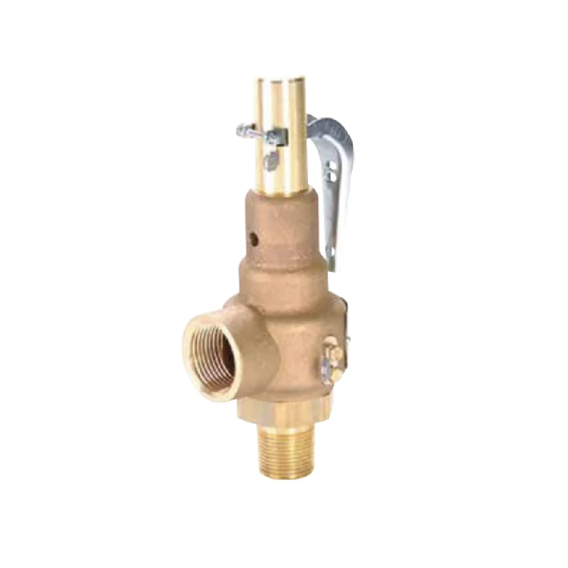 Tecnovalvulas_Apollo_Asme_Seccion_1_Serie_19